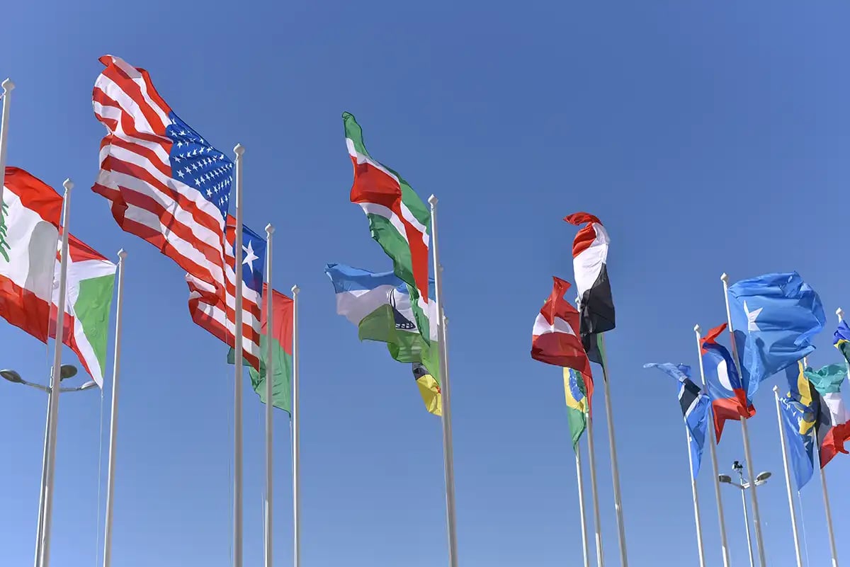 Flags---Public-sector